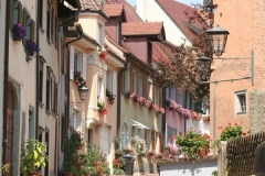 Lupfenstrasse_reference